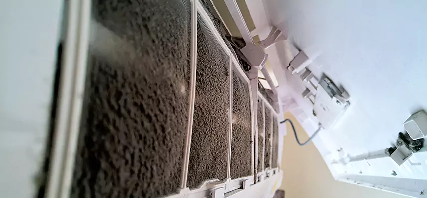 Preventive Air Duct Bacteria Removal in Baton Rouge