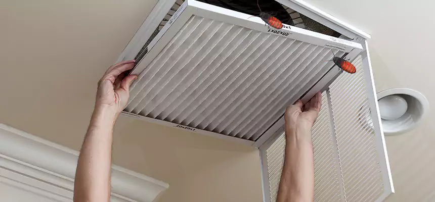Preventive Cockroach-Proofing for Ducts in Baton Rouge