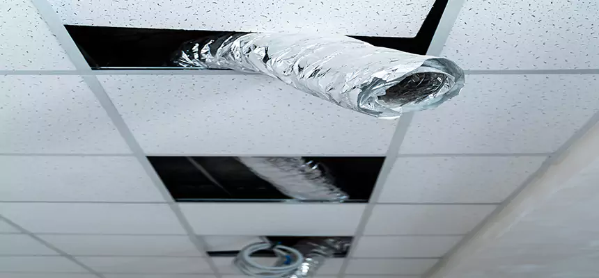 Affordable HVAC Sanitizing After Pest Removal in Baton Rouge