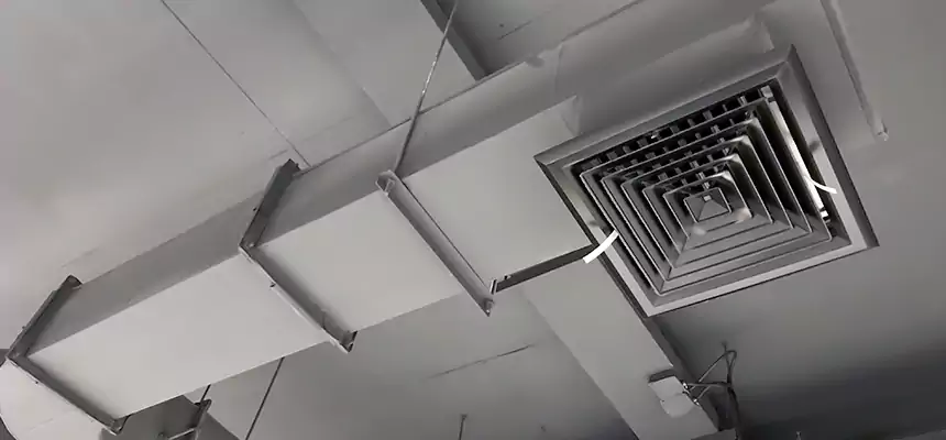 Our Pest Removal From Ducts Services in Baton Rouge, LA