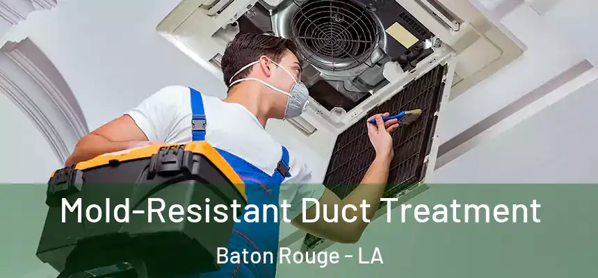 Mold-Resistant Duct Treatment Baton Rouge - LA