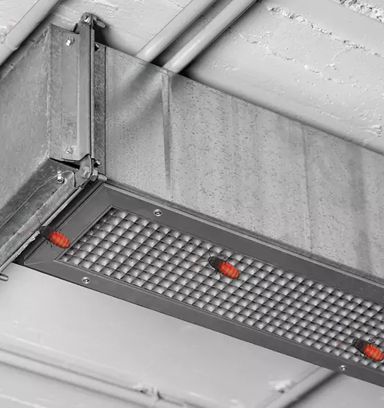 Affordable Insect Removal from Air Ducts in Baton Rouge, LA
