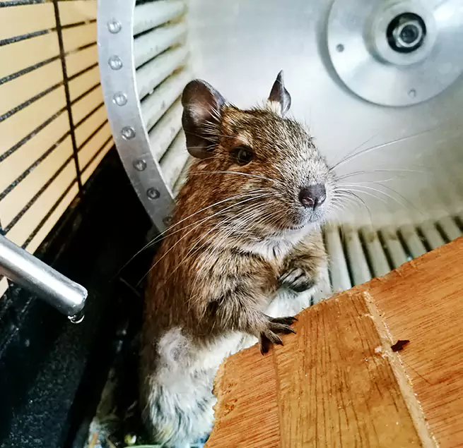 Why Homeowners & Businesses Trust Us Baton Rouge, LA