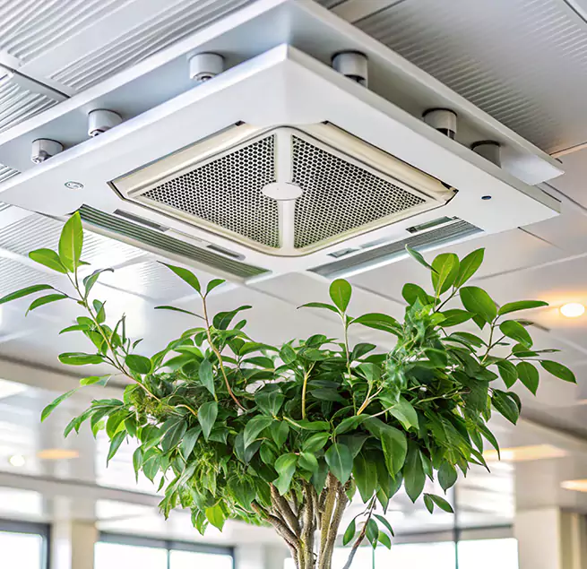 Why Homeowners & Businesses Trust Us in Baton Rouge, LA?