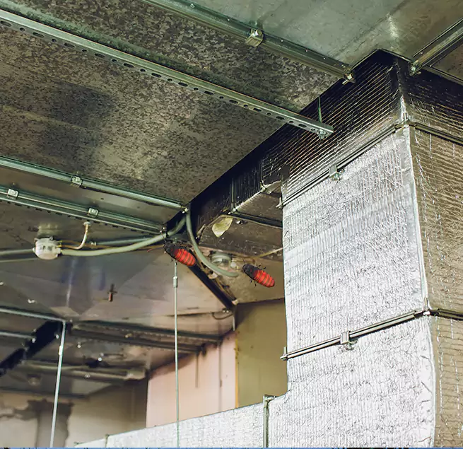 Why Homeowners & Businesses Trust Us Baton Rouge, LA?